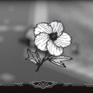 A Walk With Yiayia - Hübsche kleine Blume