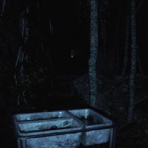 Abandoned Souls - Die Wälder