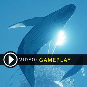 Abzu Gameplay Video