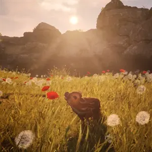 Adorable Adventures – Mohn