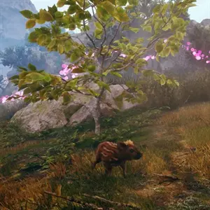 Adorable Adventures – Boris