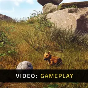 Adorable Adventures – Gameplay