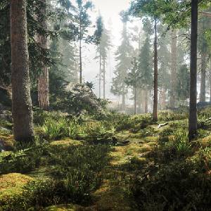 Among the Trolls - Wald
