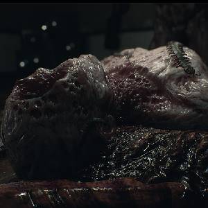 Amygdala 2024 - Alptraum Anomalie