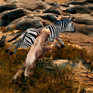 Animalia Survival - Angriff