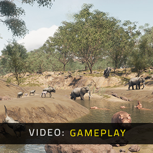 Animalia Survival - Gameplay-Video