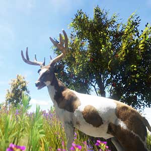 geheilt und gezähmt