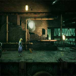 mysterious red-furred cat