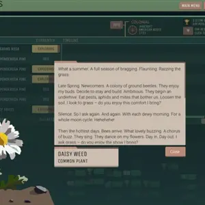 Asbury Pines - Gänseblümchen