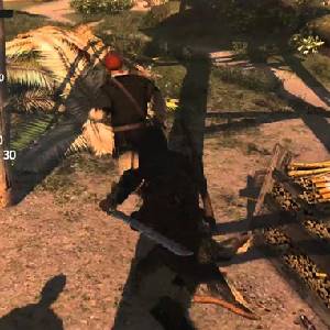 Assassins Creed 4 Black Flag Freedom Cry - Adéwalé und die Maroons