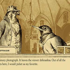 Zaun-Foto von Sparrowson