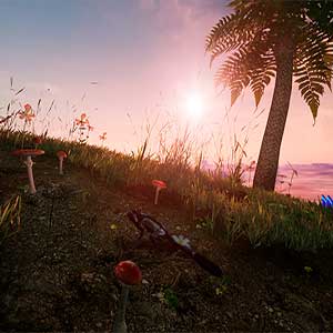 AWAY The Survival Series Pilze