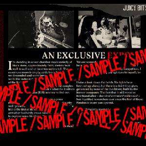 Barotrauma Supporter Pack - Beispiel