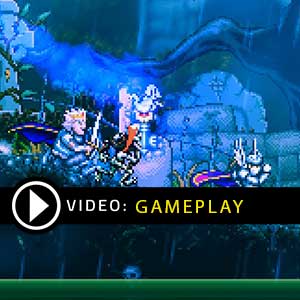 Battle Princess Madelyn Gameplay Video