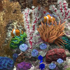 Behind Glass: Aquarium Simulator - Clownfisch