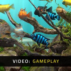 Behind Glass: Aquarium Simulator - Gameplay Video