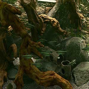 Biotope Key kaufen Preisvergleich