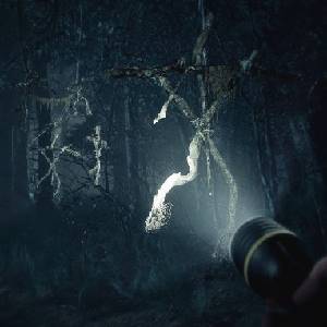 Blair Witch - Unheimlich Wälder