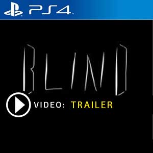 Blind VR PS4 Digital Download und Box Edition
