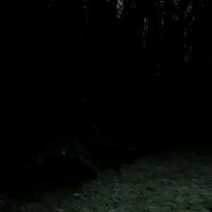 Blood Hunting - Höhle