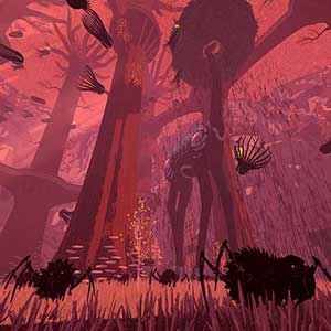 Boomerang X - Spinnentiere