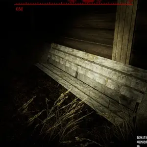 Borderline Homicide - Bank