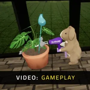 Bunhouse - Gameplay