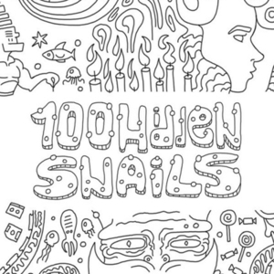 100 hidden snails Key kaufen Preisvergleich