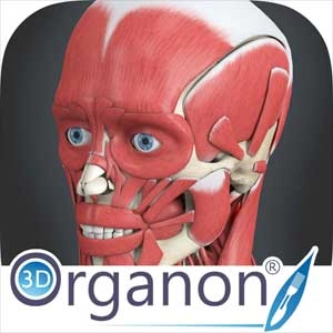 3D Organon VR Anatomy Pc
