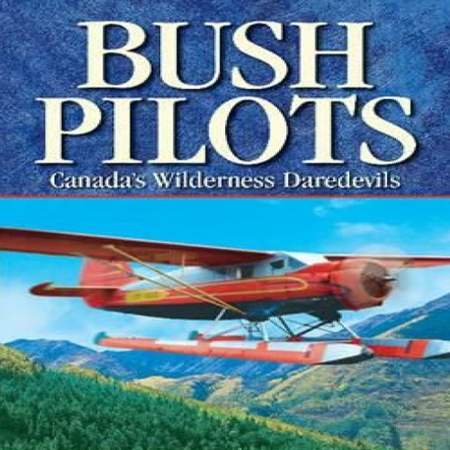 Aviator Bush Pilot Key Kaufen Preisvergleich