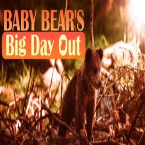 Baby Bears Big Day Out