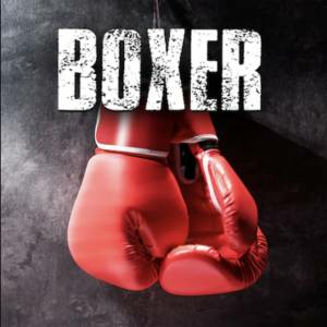 Boxer Playstation 4