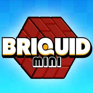 Briquid Pc