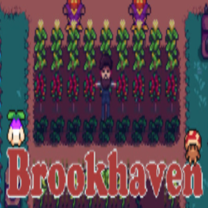 Brookhaven Key kaufen Preisvergleich
