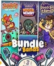 Bundle Of Bands Pc
