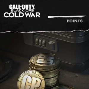 Kaufe Call of Duty Black Ops Cold War Punkte PS5 Preisvergleich