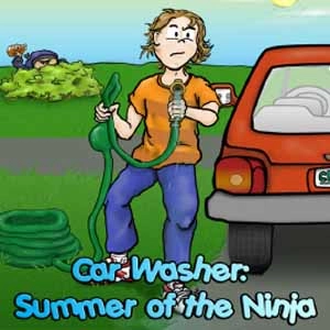 Car Washer Summer of the Ninja Pc