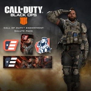 COD Black Ops 4 C.O.D.E. Salute Pack Xbox One
