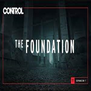 Control The Foundation Key kaufen Preisvergleich