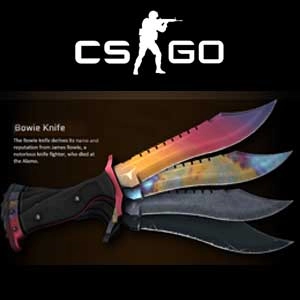 CSGO Random Bowie Knife Skin Pc
