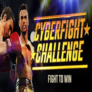 Cyber Fight Challenge