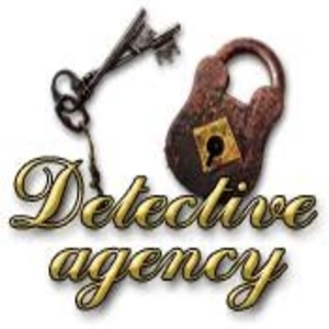 Detective Agency Key kaufen Preisvergleich