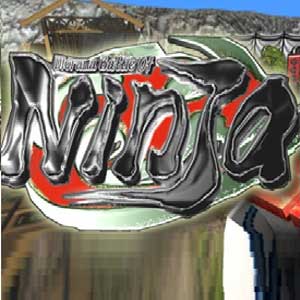 Diorama Battle of Ninja Key Kaufen Preisvergleich