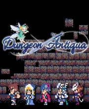 Dungeon Antiqua Switch