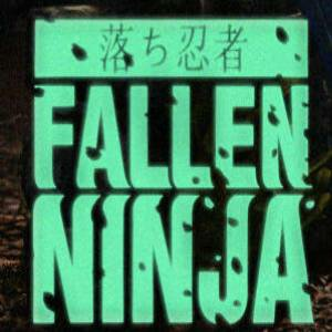 Fallen Ninja Pc