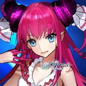 Fate/EXTELLA LINK Beach Bloody Demoness Pc