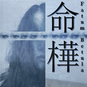 Kaufe Fatum Betula Nintendo Switch Preisvergleich