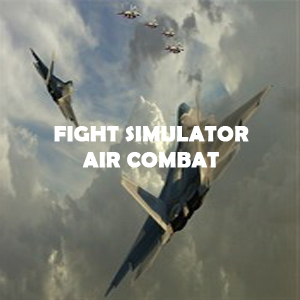 Fight Simulator Air Combat Pc
