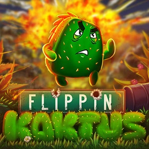 Flippin Kaktus Switch