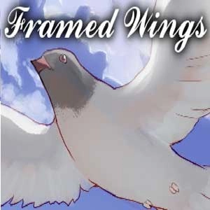 Framed Wings Pc